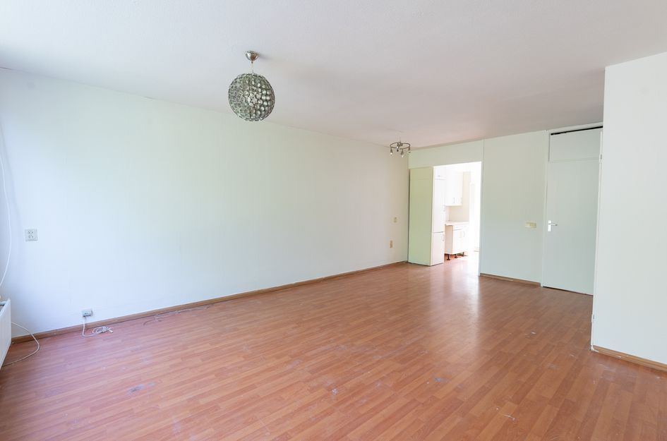 Larix 7