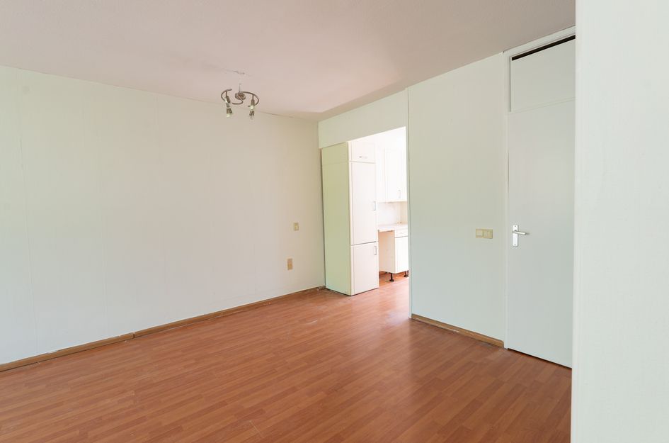 Larix 7