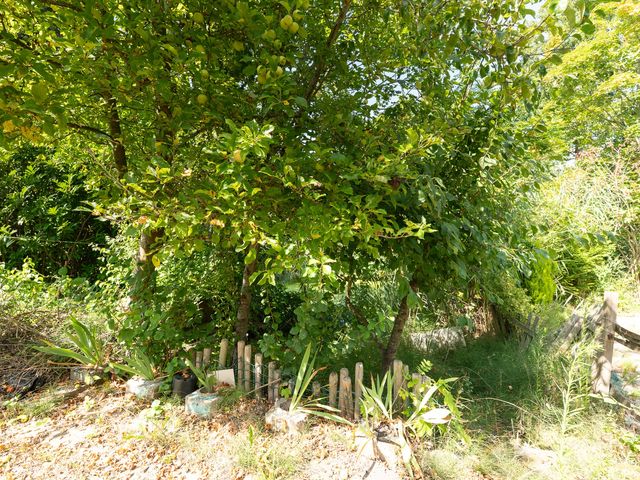 Larix 7, Hellevoetsluis