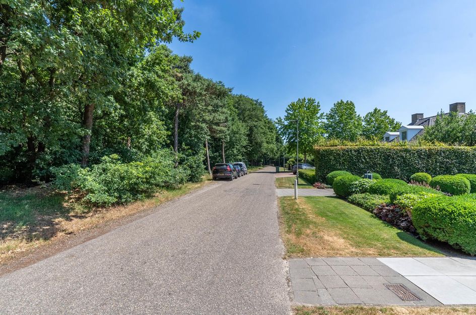 Hoenderstraat 115