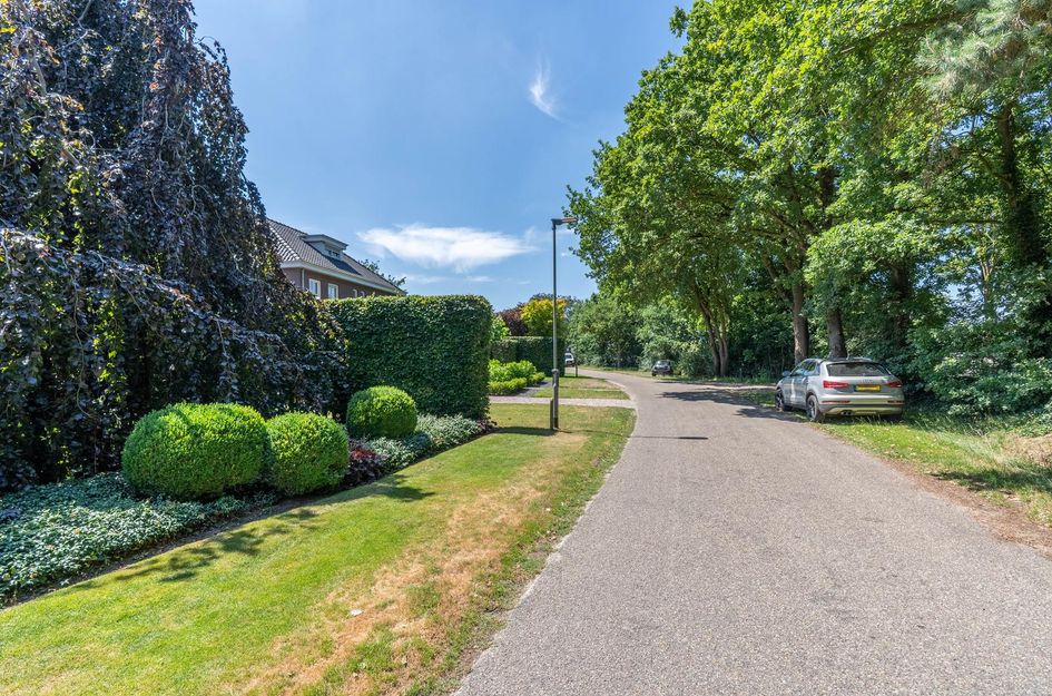 Hoenderstraat 115
