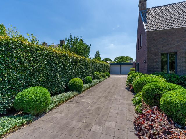 Hoenderstraat 115, Venray