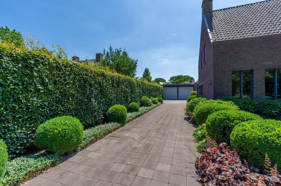 Hoenderstraat 115