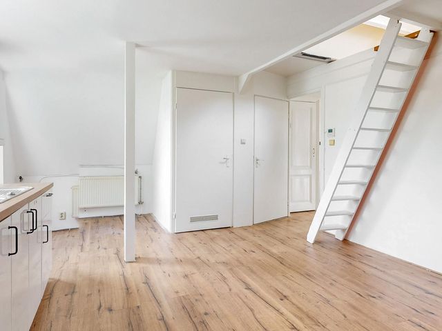 De Gheijnstraat 65A, 'S-Gravenhage