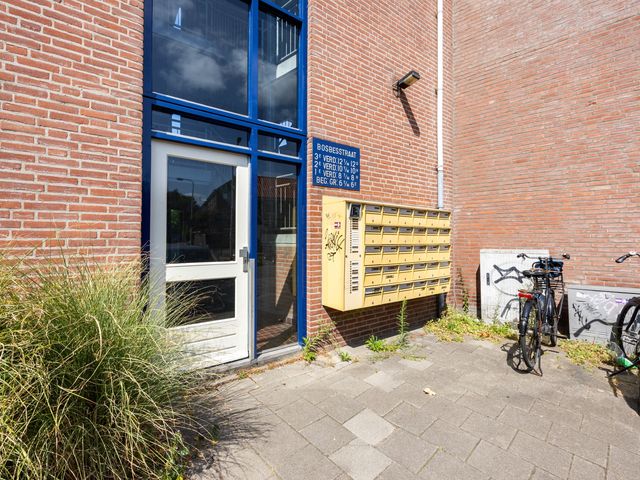 Bosbesstraat 8D, Nijmegen
