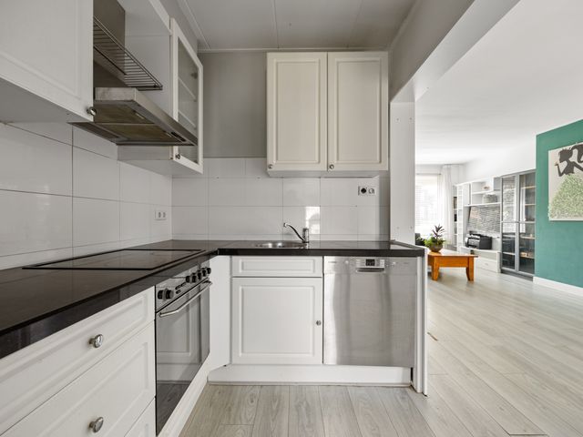 Dovenetellaan 40, Arnhem