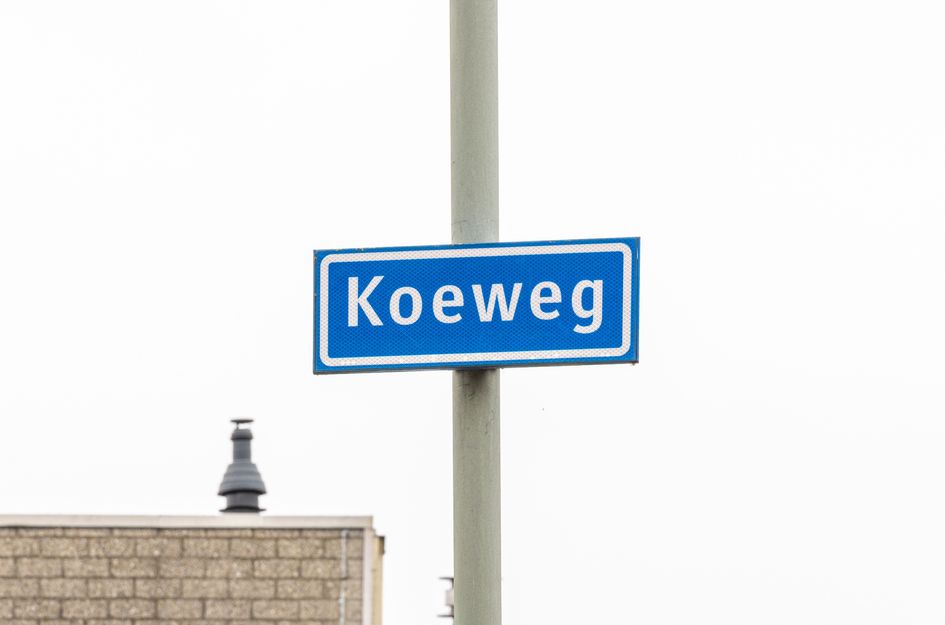 Koeweg 41