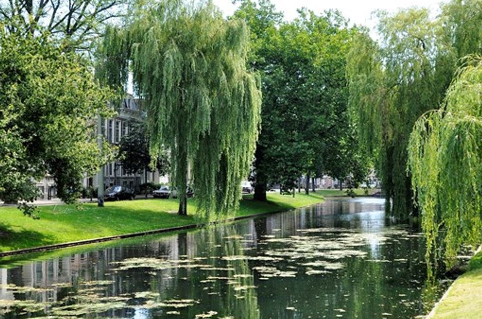 Noordsingel 48A03V