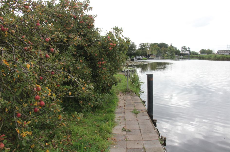 Monnickendammerrijweg 51