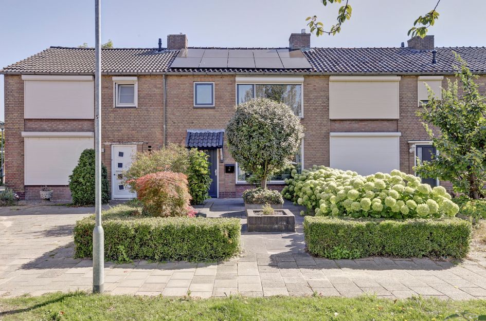 Hazebrouckstraat 17