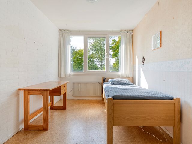 Meester Holtropstraat 10, Bruchterveld