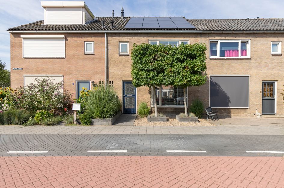 Peppelstraat 4