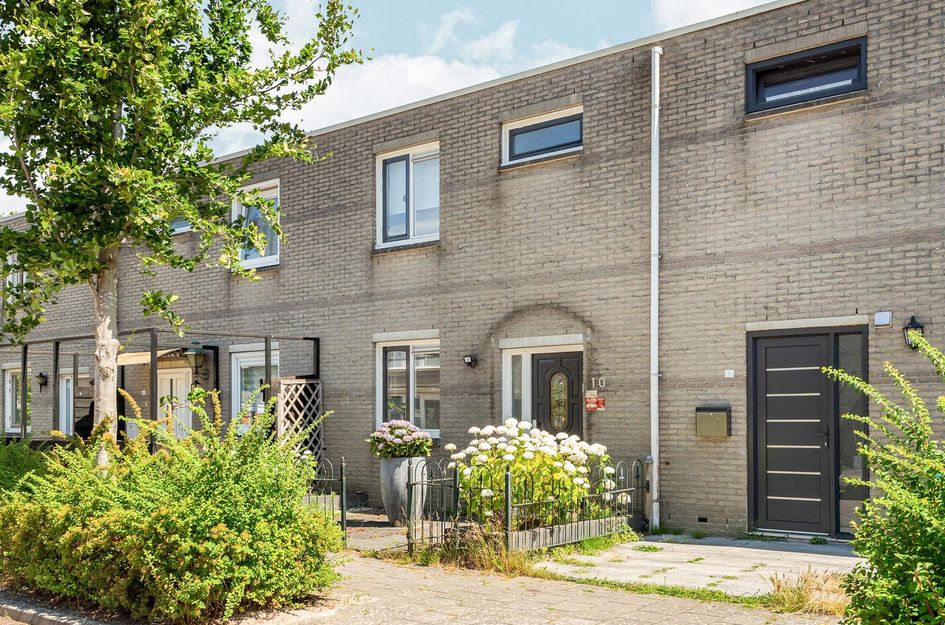 Wijnruitstraat 10