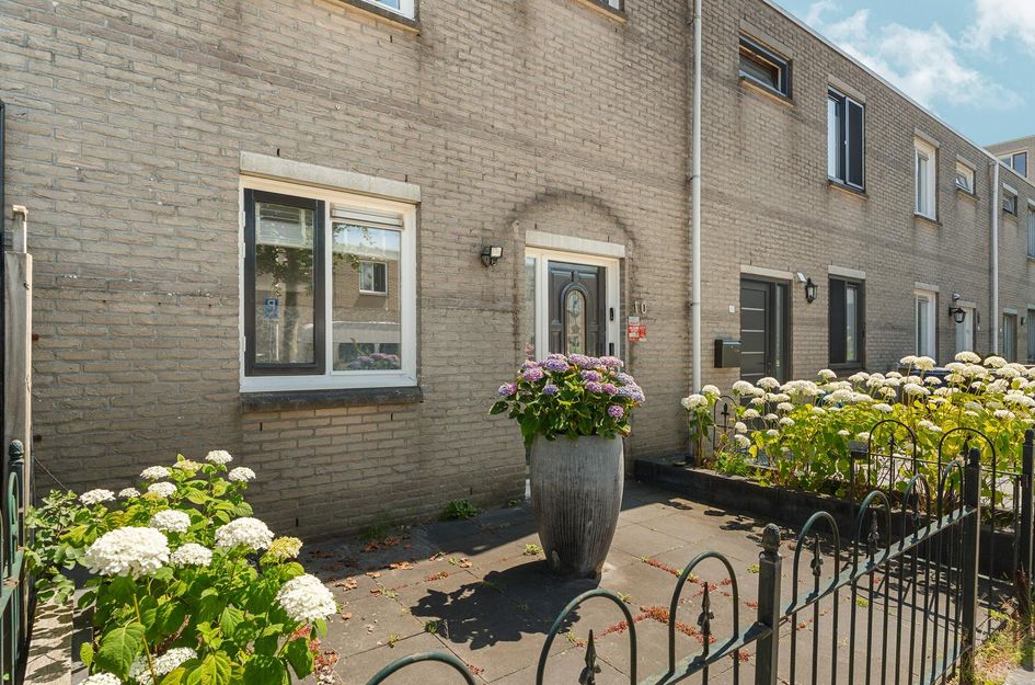 Wijnruitstraat 10