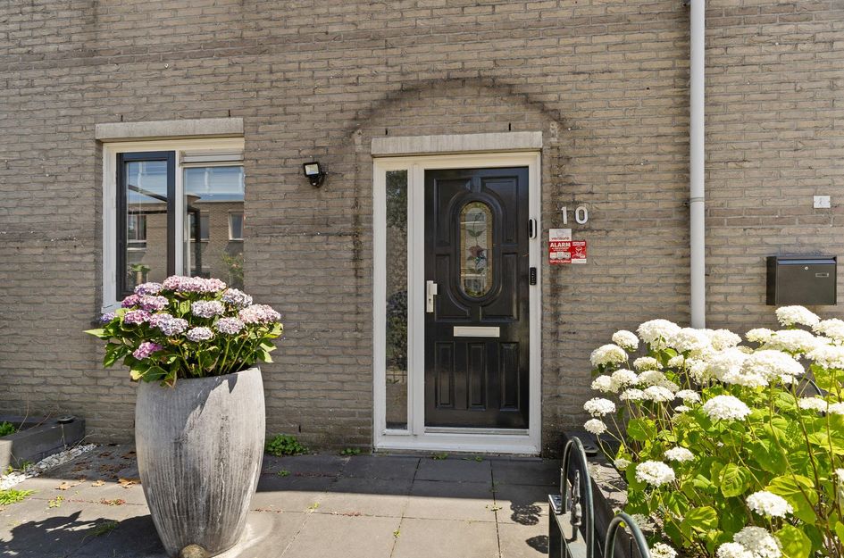 Wijnruitstraat 10