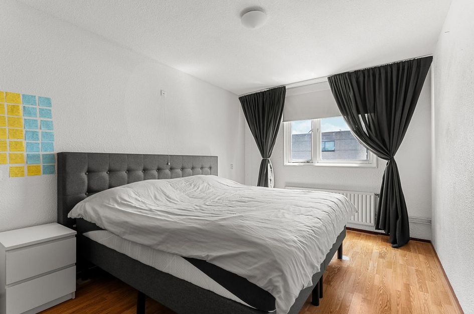 Wijnruitstraat 10