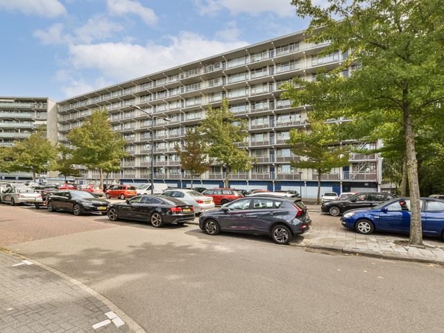 Condorhorst 36, Leiden