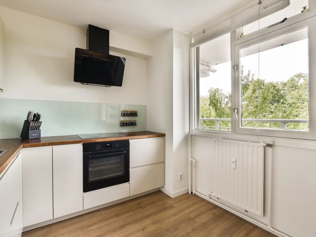 Condorhorst 36, Leiden