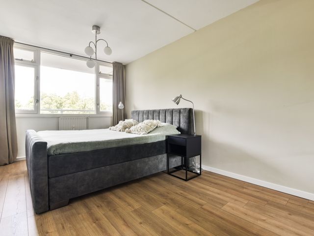 Condorhorst 36, Leiden