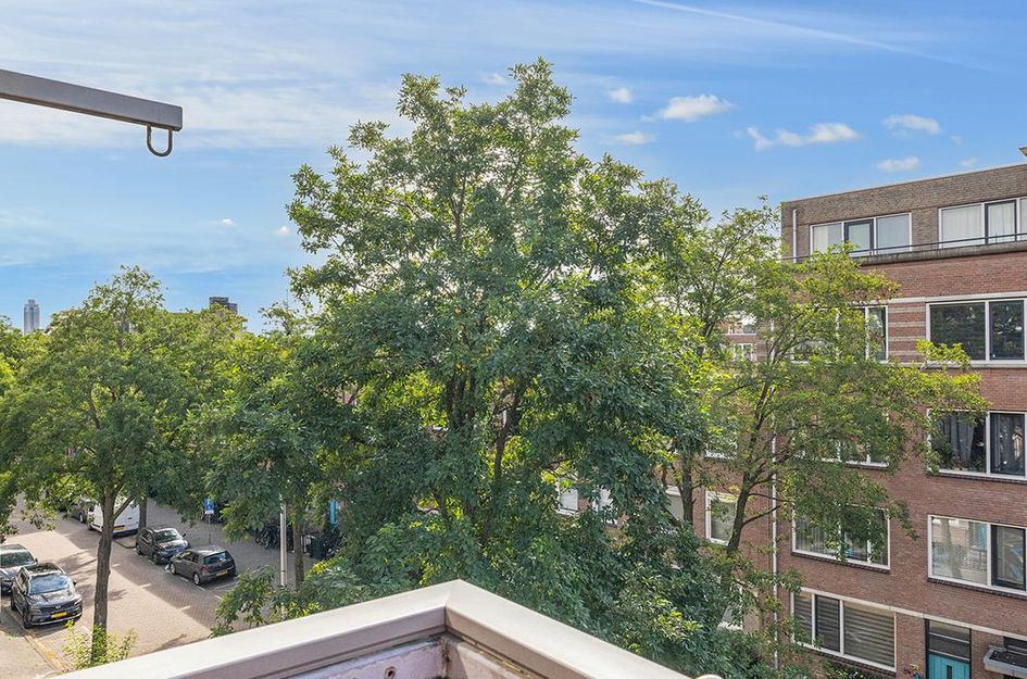 Rosier Faassenstraat 71
