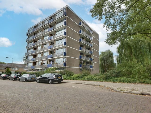 Wildenborglaan 32 3, Arnhem