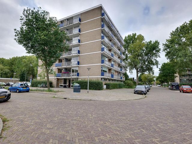 Wildenborglaan 32 3, Arnhem