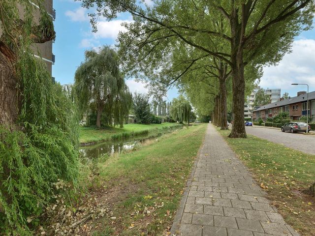 Wildenborglaan 32 3, Arnhem