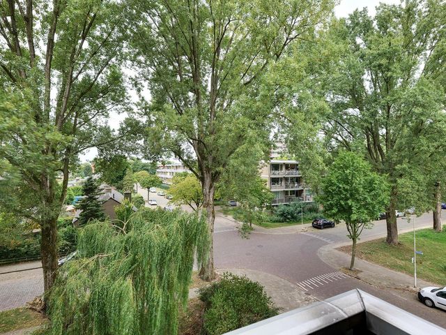 Wildenborglaan 32 3, Arnhem