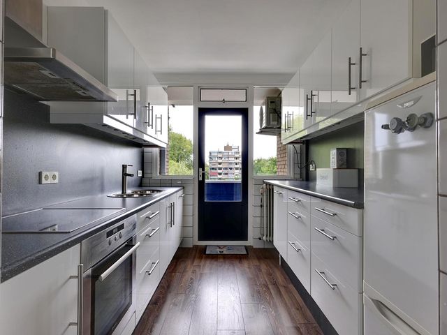 Wildenborglaan 32 3, Arnhem