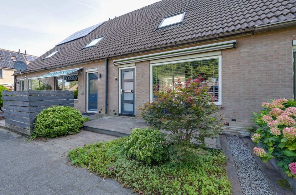 Boterbloem 1C