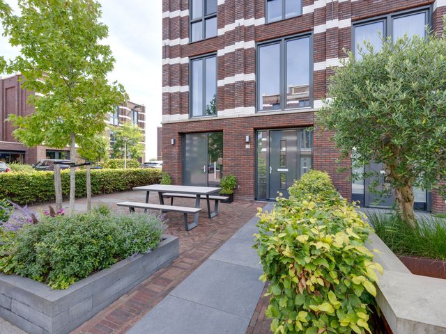 Thalassa 17, Wormerveer