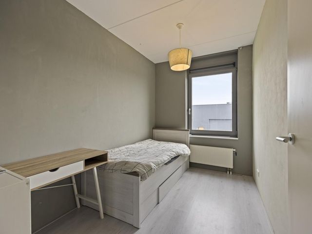 Brabantse Bellefleur 81, Fijnaart