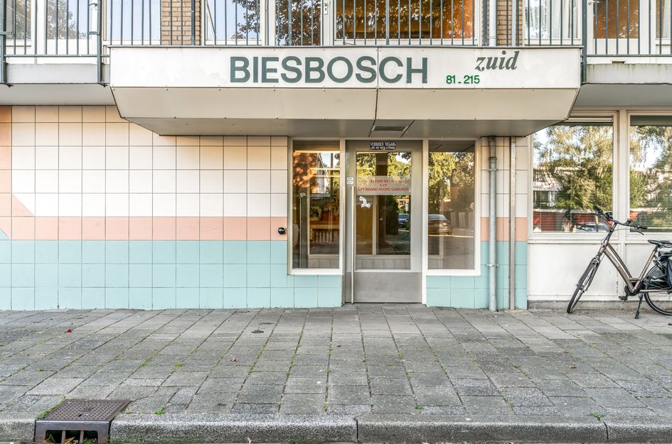 Biesbosch 87