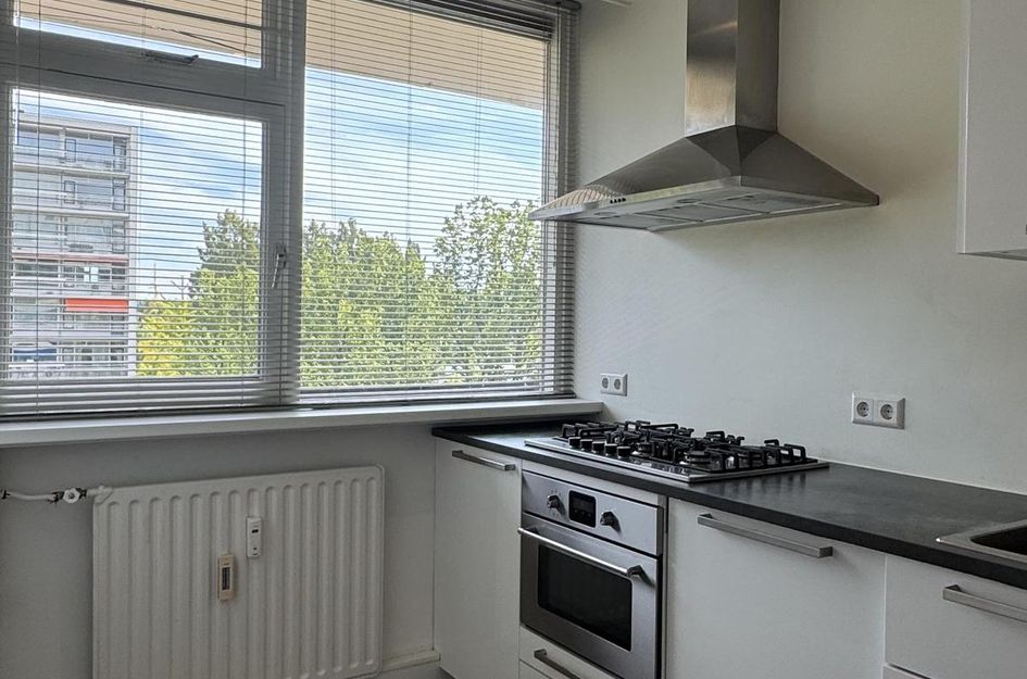 Bevelandselaan 79