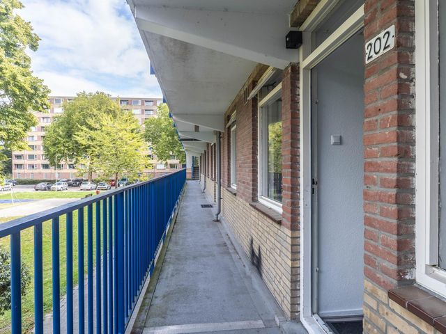 Fluitekruidweg 202, Zaandam