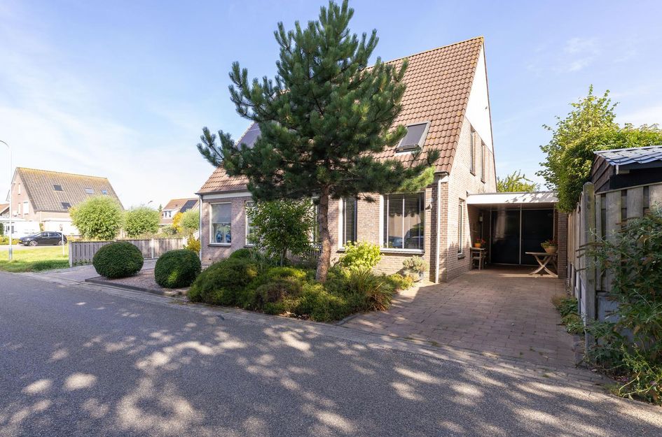 Koperwiek 45