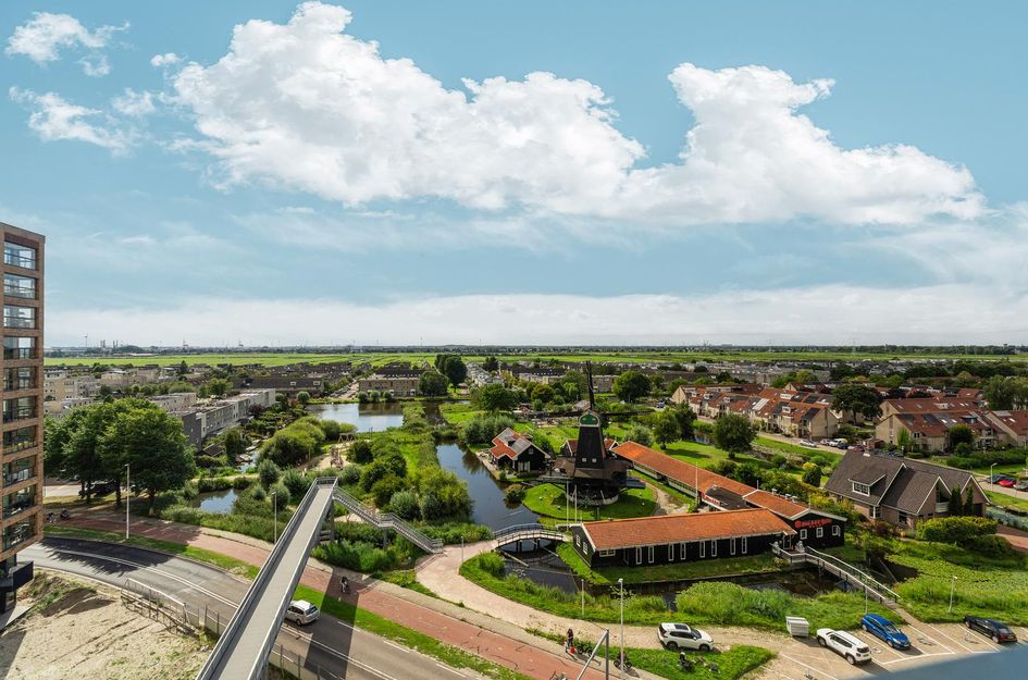 Mahoniehout 443
