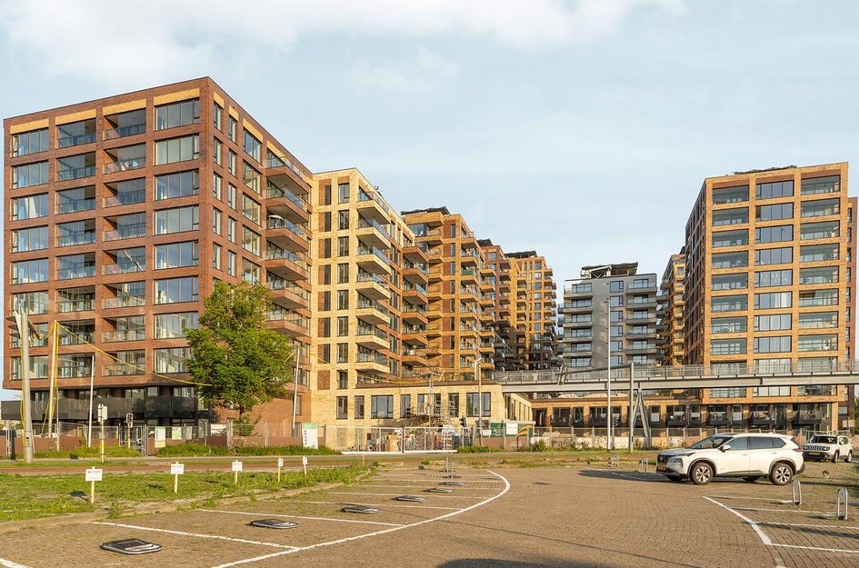 Mahoniehout 443