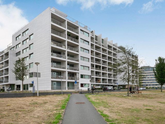 Overhoeksparklaan 230, Amsterdam