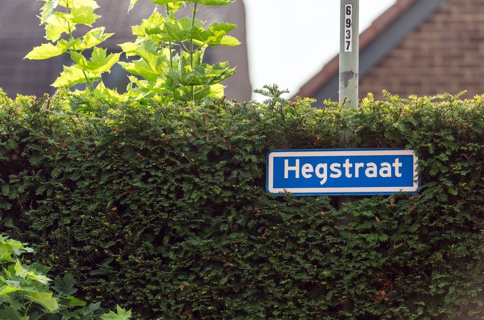 Hegstraat 24