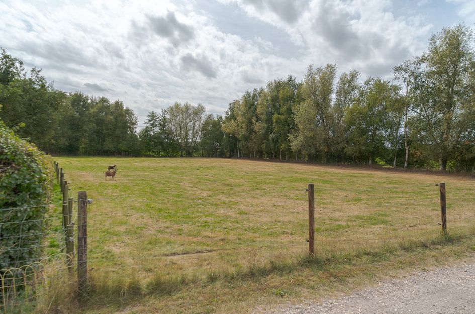 Van Echtenswijk 10