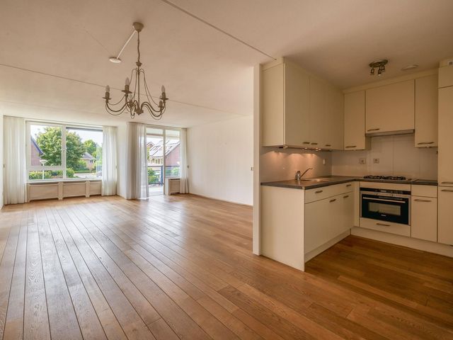 Veldzuring 23, Venlo