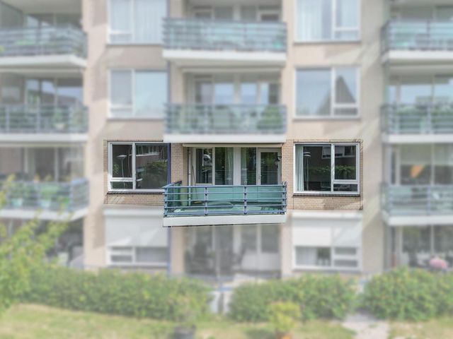 Veldzuring 23, Venlo