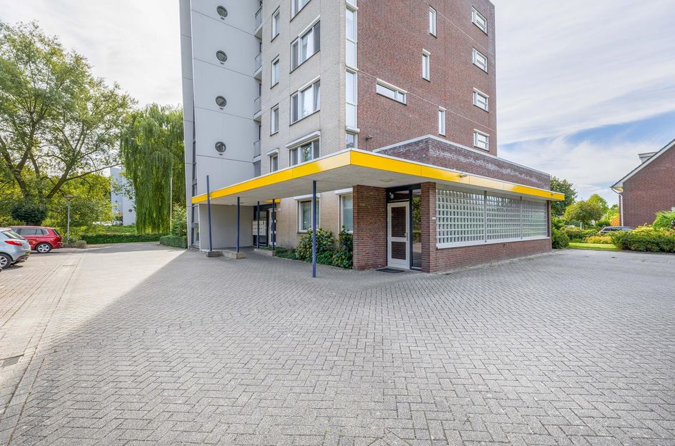 Veldzuring 23