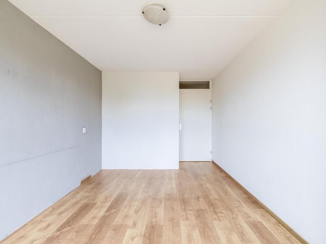 Veldzuring 23, Venlo