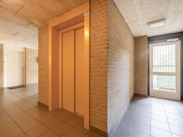 Veldzuring 23, Venlo