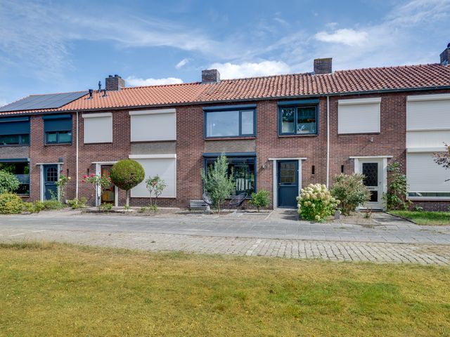 Rubenspark 7, Rijen