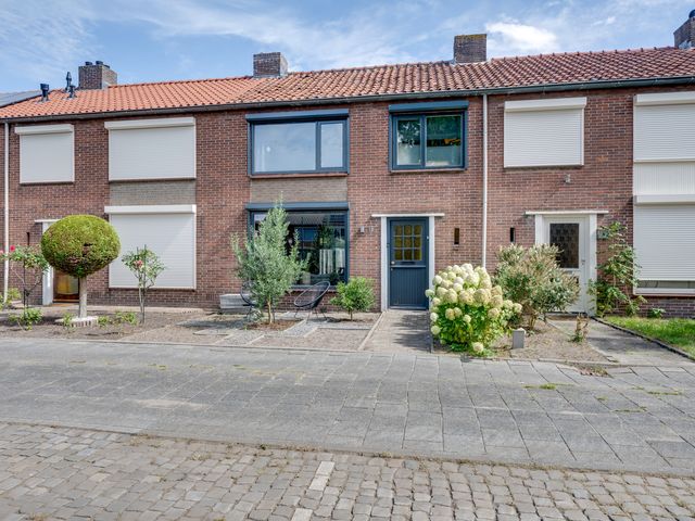 Rubenspark 7, Rijen