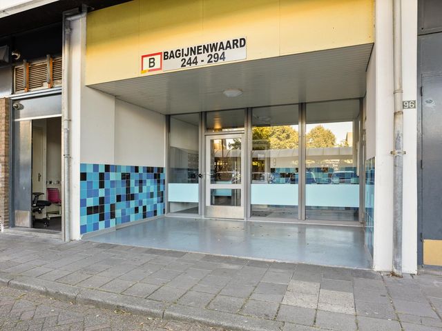 Bagijnenwaard 272, Zoetermeer