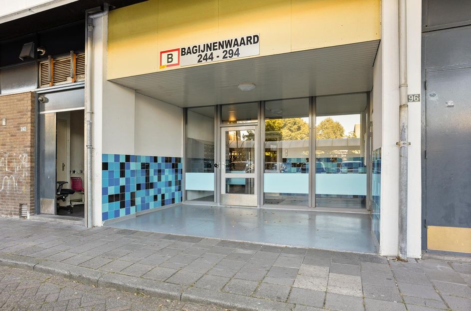 Bagijnenwaard 272